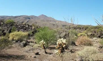 Sonoran Desert